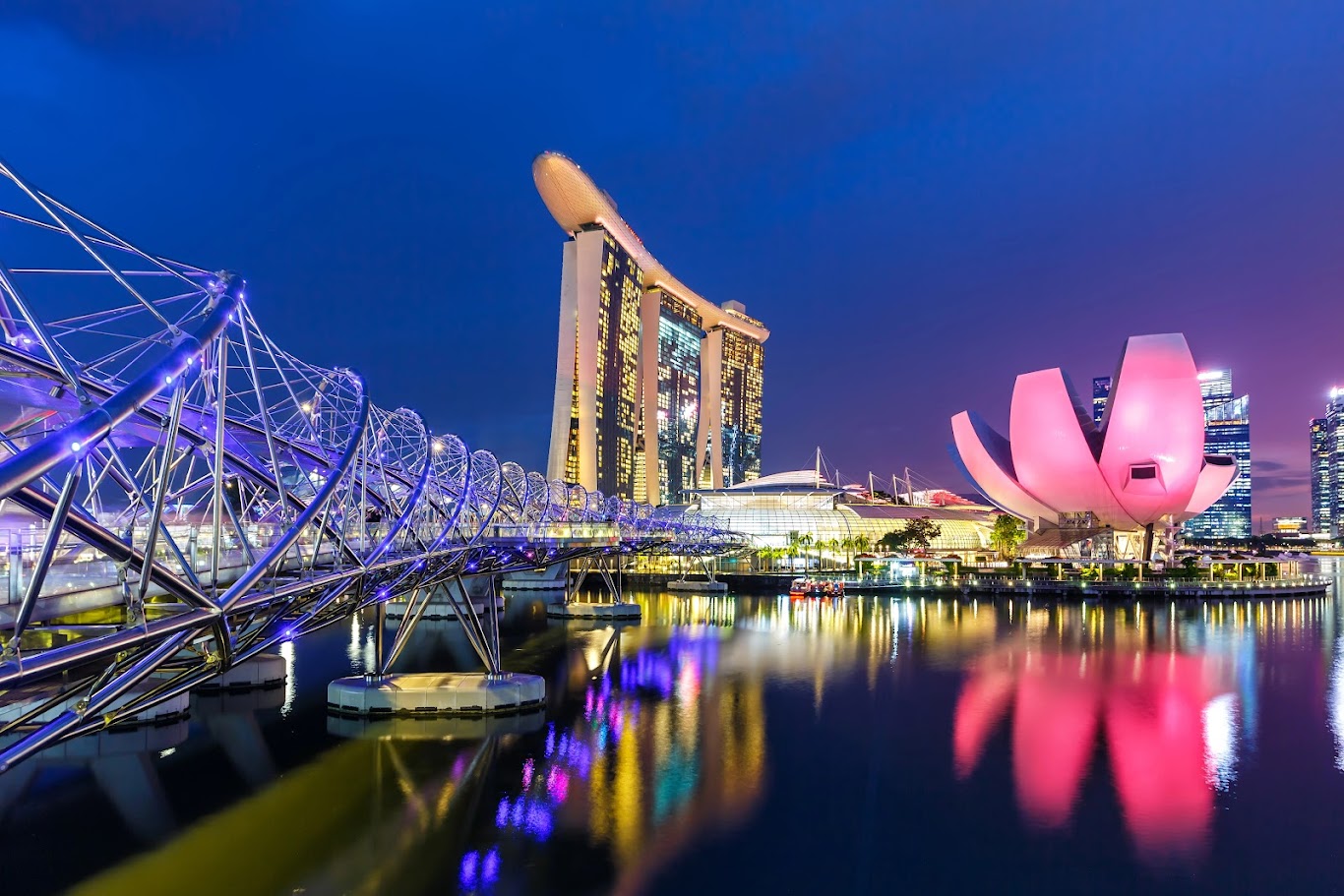 Helix Bridge Night Walk