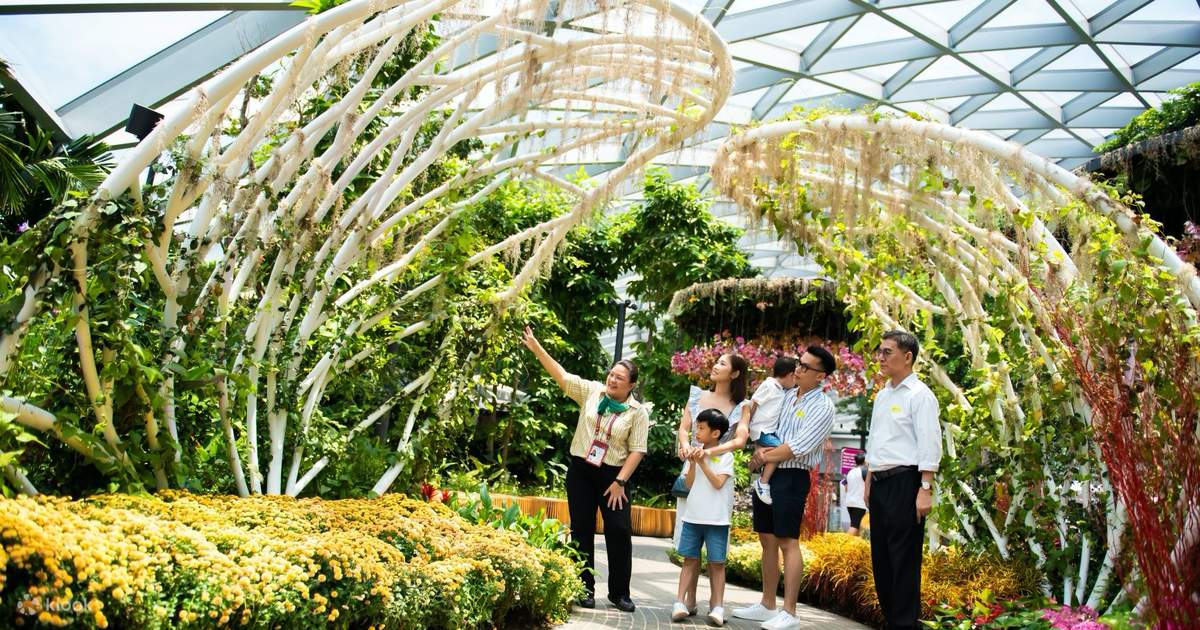 Jewel Changi Airport Tour