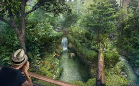 Singapore Zoo Adventure