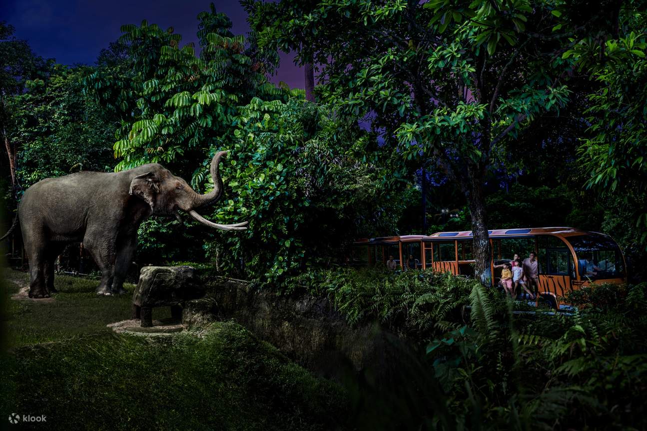 Night Safari Singapore